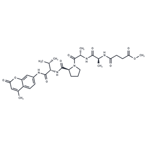 化合物MeOSuc-AAPV-AMC|T38364|TargetMol