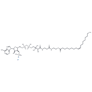 化合物 Oleoyl coenzyme A lithium|T78511|TargetMol