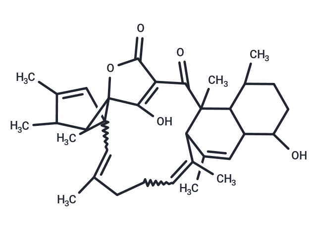 Tetromycin B,Tetromycin B