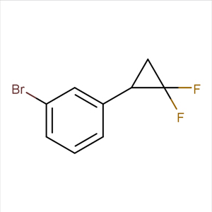 1-溴-3-（2，2-二氟環(huán)丙基）苯,1-broMo-3-(2,2-difluorocyclopropyl)benzene