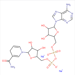 beta-煙酰胺腺嘌呤二核苷二鈉,beta-Nicotinamide adenine dinucleotide disodium salt