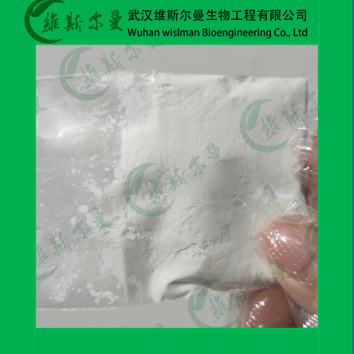 托拉塞米,Torasemide