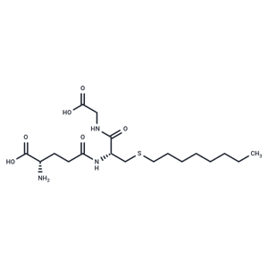 化合物 S-Octylglutathione|T81136|TargetMol