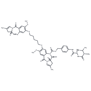 化合物 SG3199-Val-Ala-PAB|T77813|TargetMol