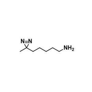 2193061-18-4，Me-Diazirine-C5-NH2，甲基-双吖丙啶-C5-胺