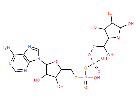 ADPR，腺苷5′-二磷酸核糖,ADPR，Adenosindiphosphoribose