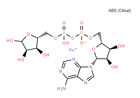 ADPR，腺苷5'-二磷酸核糖鈉,ADPR， Adenosine 5 '- diphosphate ribose sodium