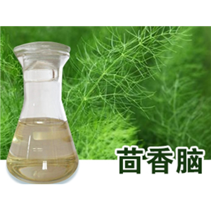 茴香脑；天然反式茴脑；大茴香脑；含量99%；104-46-1