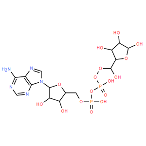 20762-30-5，腺苷5′-二磷酸核糖；68414-18-6，腺苷5'-二磷酸核糖钠，酶系列