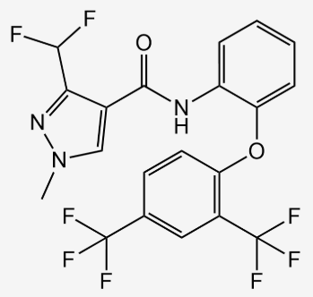 苯醚唑酰胺,fenopyramid(P)