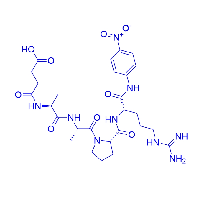 胰蛋白酶酰基酶底物多肽Suc-AAPR-pNA,Suc-Ala-Ala-Pro-Arg-pNA