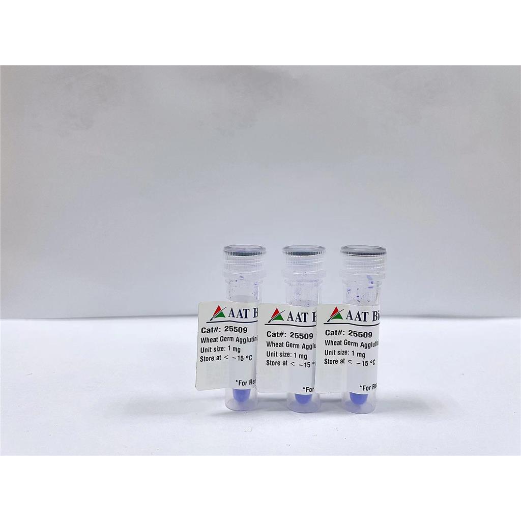 AF594小麥胚芽凝集素（WGA）探針,Wheat Germ Agglutinin, XFD594 Labeled