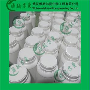 D-葡萄糖酸鈉一水合物-合成型,D-Glucuronicacidsodiumsaltmonohydrate