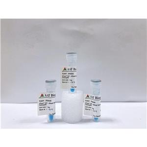 iFluor 647小麥胚芽凝集素（WGA）探針,iFluor 647-Wheat Germ Agglutinin (WGA) Conjugate