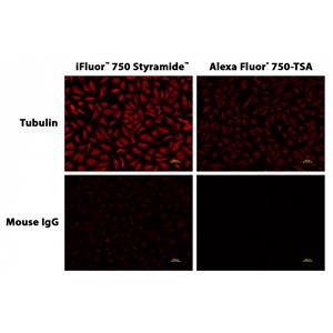 iFluor 750 酪胺 * Alexa Fluor 750酪胺的优异替代品*