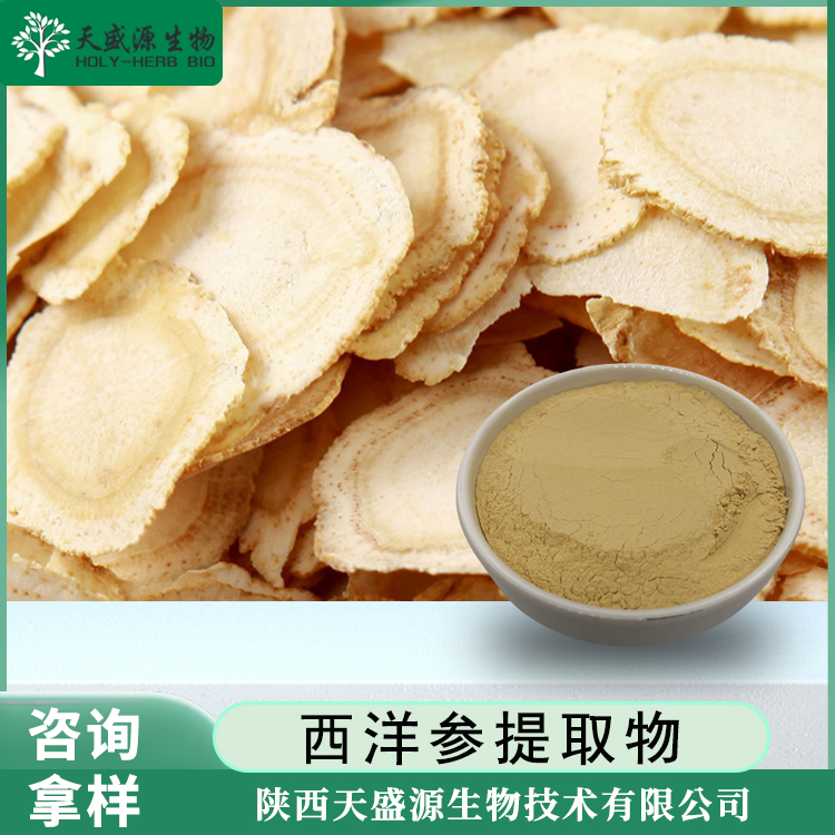 西洋參提取物,American Ginseng Extract