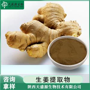 生姜提取物,Ginger Extract