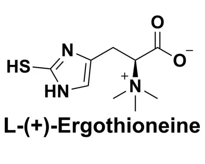 麥角硫因,L-Ergothioneine