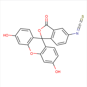 異硫氰酸熒光素,Fluorescein isothiocyanate