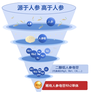 人參皂苷Rh2,Ginsenoside Rh2