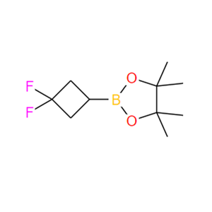 2-(3,3-二氟环丁基)-4,4,5,5-四甲基-1,3,2-二氧杂硼烷