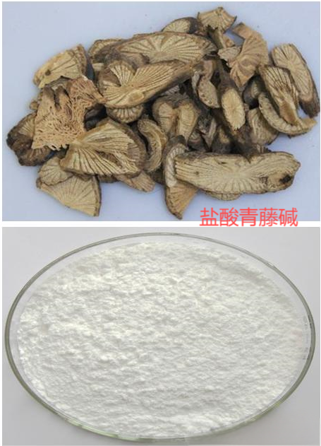 鹽酸青藤堿,Sinomenine Hydrochloride