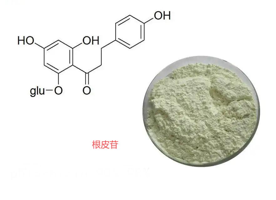 根皮苷,Phloridzin