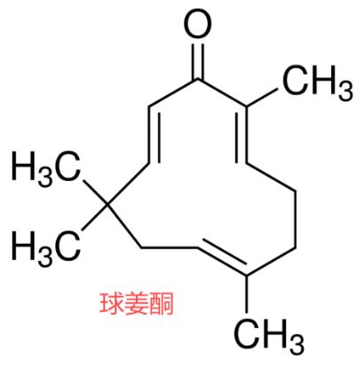 球姜酮,Zerumbone