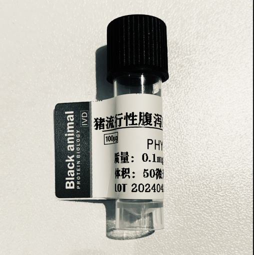 豬流行性腹瀉N蛋白（ PEDV-N）,PEDV-N