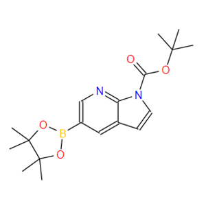 5-(4,4,5,5-四甲基-1,3,2-二氧硼杂环戊烷-2-基)-1H-吡咯并[2,3-b]吡啶-1-羧酸叔丁酯）