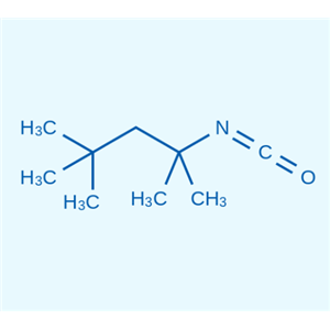叔辛基异氰酸酯  1611-57-0