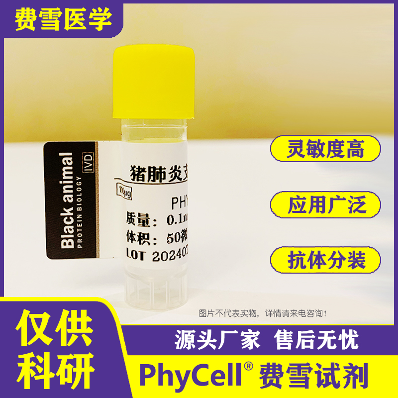 豬肺炎支原體病毒蛋白；豬肺炎支原體抗原,M. hyopneumoniae