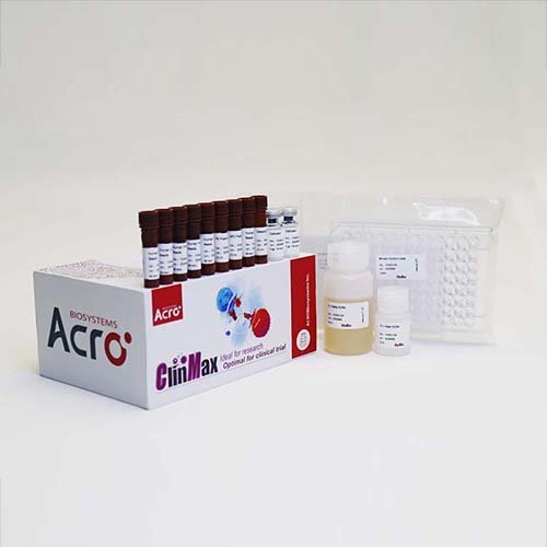 HIV-1 p24 ELISA試劑盒,HIV-1 p24 ELISA Kit