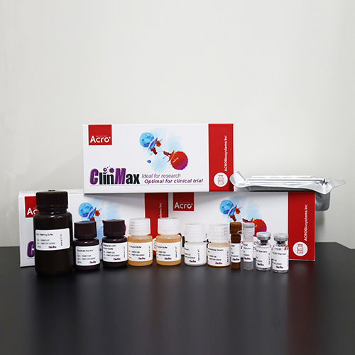 CD28抗體ELISA試劑盒,CD28 ELISA Kit