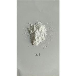 尿苷,uridine