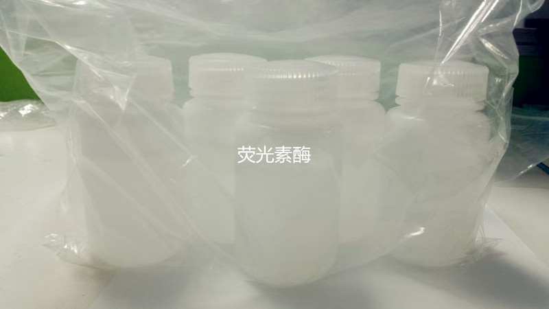 熒光素酶,BACTERIALLUCIFERASE