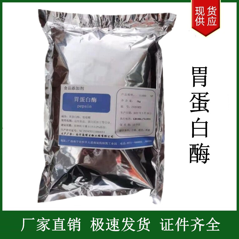 胃蛋白酶,Gastric protease