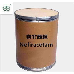 奈非西坦,Nefiracetam