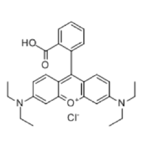 罗丹明 B