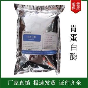 胃蛋白酶,Gastric protease