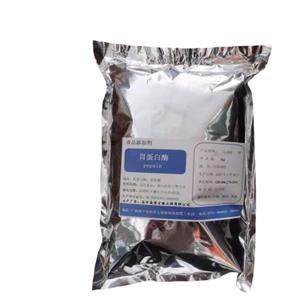 胃蛋白酶,Gastric protease