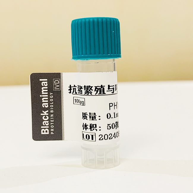 抗豬繁殖與呼吸障礙綜合征病毒單克隆抗體,Monoclonal antibody against porcine reproductive and respiratory syndrome virus