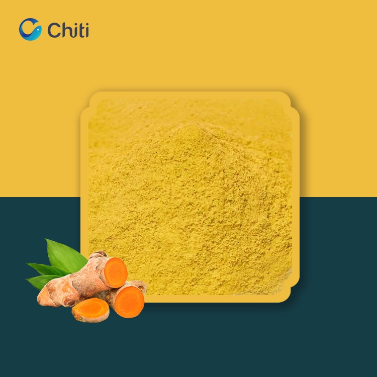 Chiti姜黃素,Chiti Tumeric Curcumin