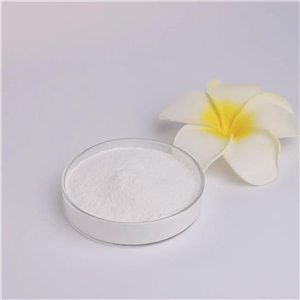 Chiti非變性雞二型膠原蛋白,Chiti un-denatured collagen type II