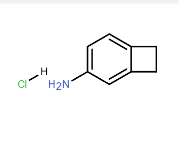 雙環(huán)[4.2.0]辛-1,3,5-三烯-3-胺鹽酸鹽,Bicyclo[4.2.0]octa-1,3,5-trien-3-amine hydrochloride