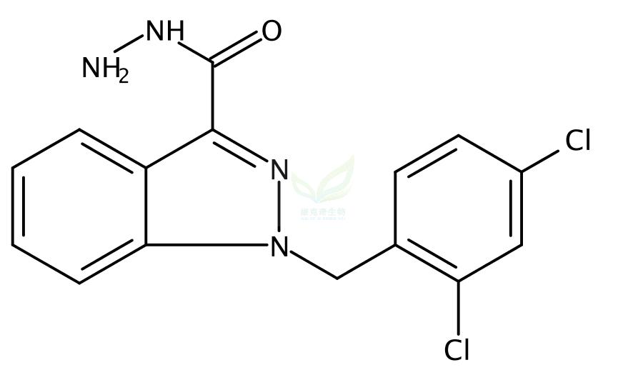 1-(2,4-二氯芐基)-1H-吲唑-3-碳酰肼,Adjudin