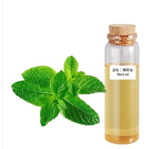 薄荷油,Cornmint oil