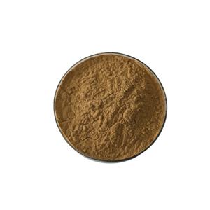 銀杏葉提取物,Ginkgo Biloba extract