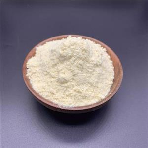 牛初乳粉,Bovine colostrum powder