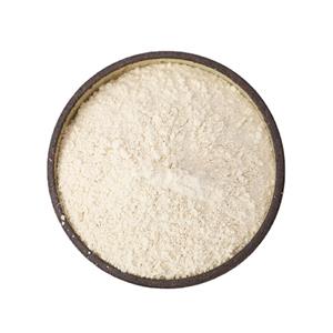 大蒜粉,Garlicin powder